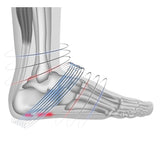 Kompressionsstrümpfe PF8 Active für Plantarfasziitis und Fersensporn